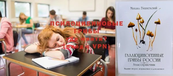 мяу мяу мука Новозыбков