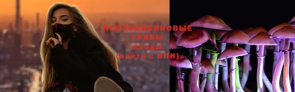 apvp Нея